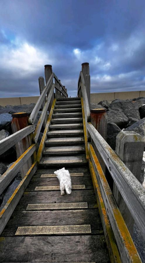 Camber Sands Seascape Horizon Decked Villa Dog Friendly Экстерьер фото
